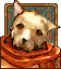 Gon